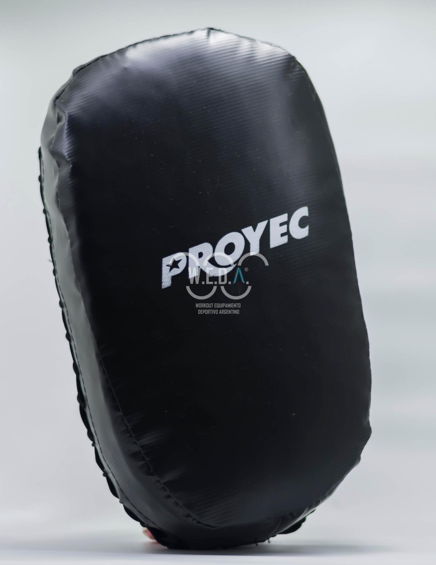 209-escudo-potencia-Thai-chico-Proyec