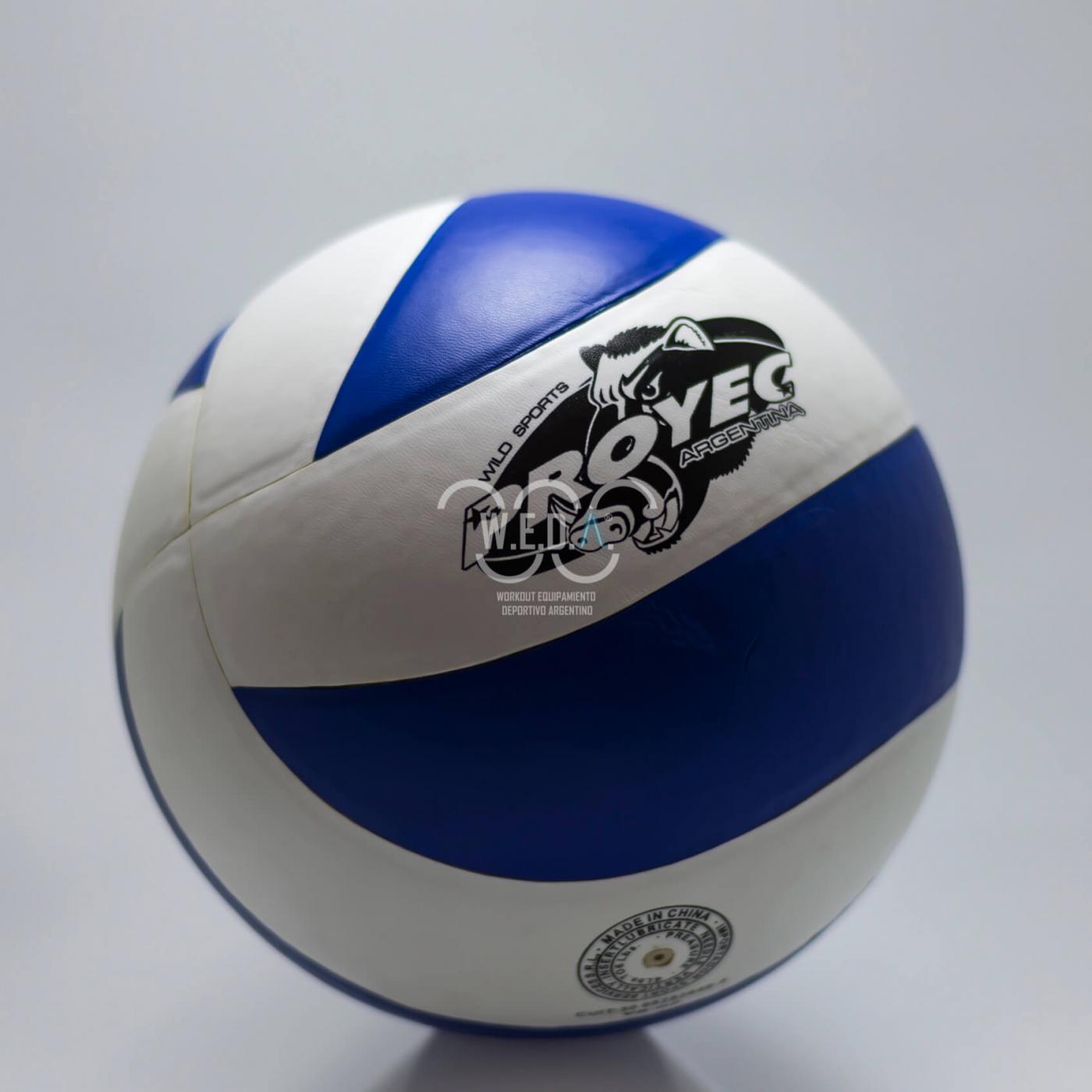 76-Proyec-Voley