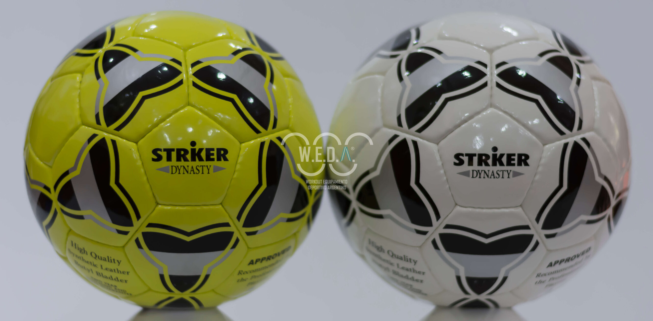 striker-dinasty-No-4