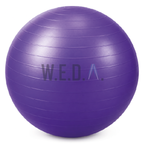 PELOTA DE ESFERODINAMIA 45CM.