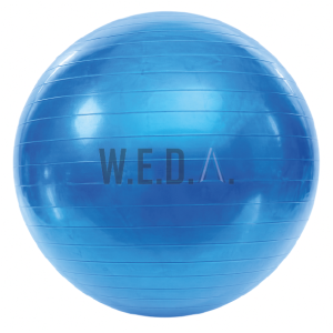 PELOTA DE ESFERODINAMIA 55 CM.